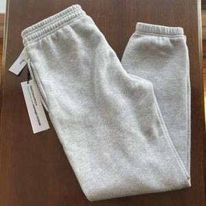 Aritzia TNA Cozy Fleece Boyfriend Basic Grey Sweatpants Size 2XS NWT